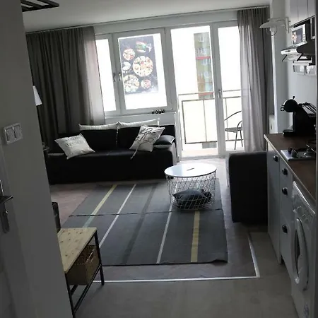 公寓 Studio Centrum 格丁尼亚